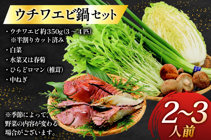 鍋セット 海鮮 平戸ウチワエビ鍋セット 安心の地元 野菜付 2〜3人前 [ひらど新鮮市場 長崎県 平戸市 hr42bgy400154] 詰め合わせ エビ 海鮮 鍋 海鮮セット 海鮮グルメ 海鮮鍋 ウチワエビ