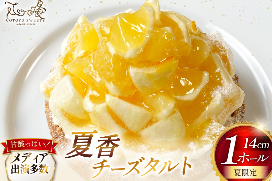 柑橘 スイーツ 夏香 チーズ タルト 1ホール 14cm [心優-Cotoyu Sweets- 長崎県 平戸市 hr42bjo490073] みかん オレンジ ケーキ チーズケーキ さわやか ご褒美 誕生日