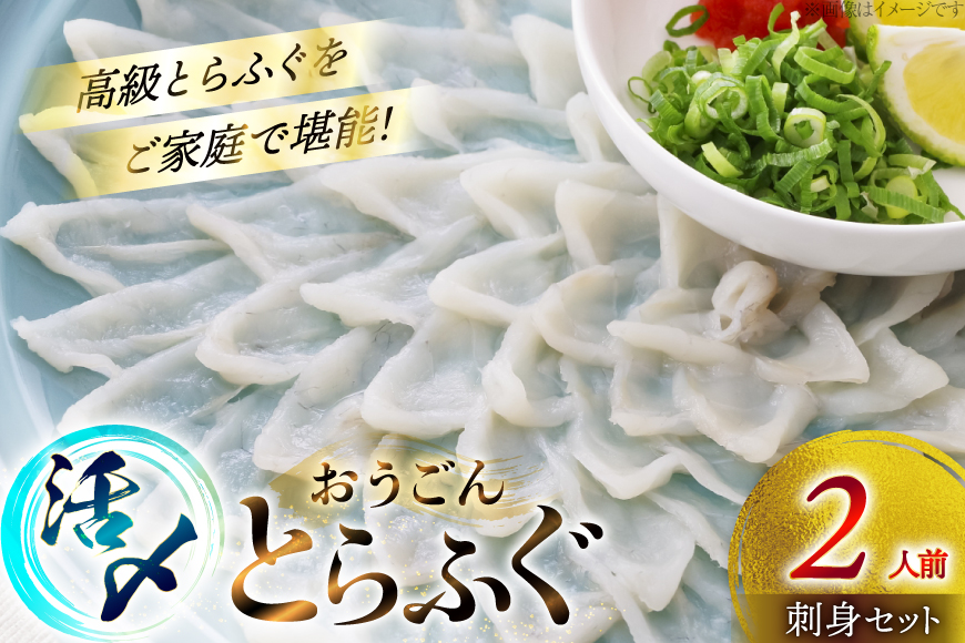ふぐ 刺身 セット 活〆 おうごんとらふぐ 刺身セット 2人前 [松永水産 長崎県 平戸市 hr42bgy400175] ふぐ刺し とらふぐ フグ 河豚 てっさ 魚介 さかな お刺身 刺身用 さしみ 冷凍 湯引き 海鮮 切り身