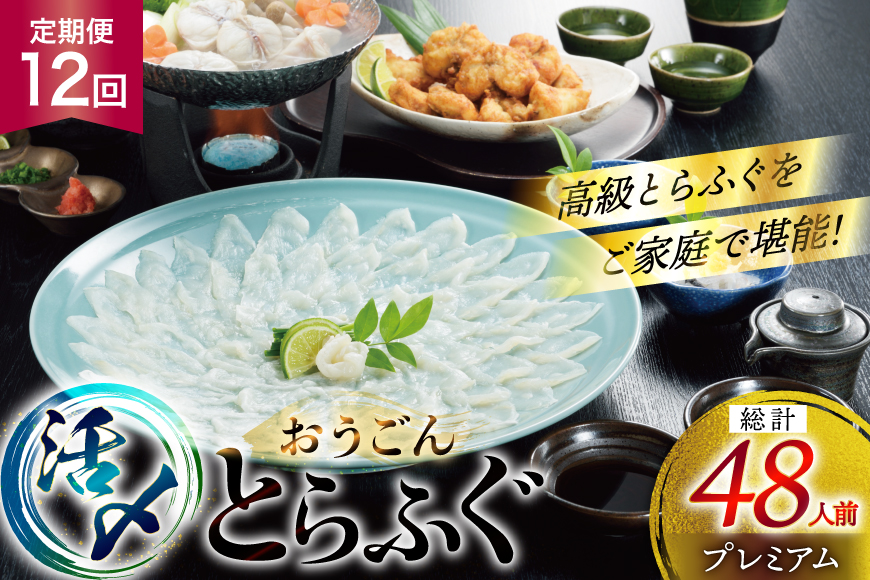 ふぐ 刺身 ふぐ鍋セット 活〆 おうごんとらふぐ プレミアム セット 4人前 12回 定期便 [松永水産 長崎県 平戸市 hr42bgy400152] ふぐ刺し とらふぐ フグ 河豚 てっさ てっちり ふぐ鍋 湯引き 魚介 さかな お刺身 刺身用 さしみ 冷凍 海鮮