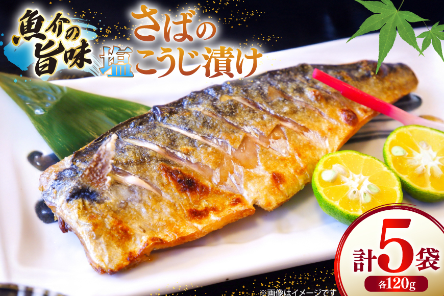 鯖 さば 漬け魚 漬魚 塩麹 塩こうじ 冷凍 魚 切り身 サバの塩こうじ漬け 5袋 (約120g/袋) [ひかり 長崎県 平戸市 hr42bgy420367] 焼き魚 焼魚 海鮮 漬け づけ お取り寄せ ギフト 真空 真空パック 個包装 小分け お取り寄せ