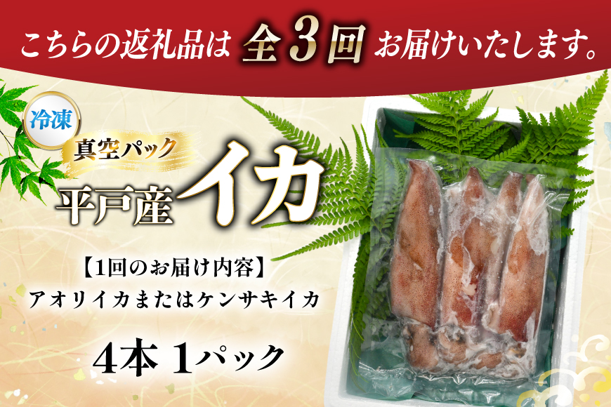 海鮮 魚介 イカ 4杯 1パック（冷凍） 3回 定期便 [舘浦漁協 長崎県 平戸市 hr42bgy420358] おつまみ 新鮮 刺身 瞬間冷凍 冷凍 コリコリ 直送 冷凍 個包装 真空パック