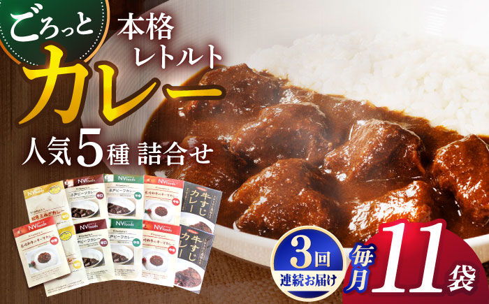 【全3回定期便】【カレー好きのためのアソートセット】カレー工房NVfoodsのカレー5種（11袋）詰め合わせセット [KAB288]