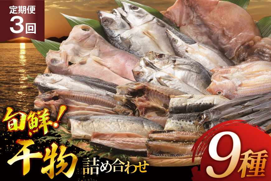 おつまみ イカ 旬魚 平戸 干物 9種 詰め合せ 定期便 3回 [森崎水産 長崎県 平戸市 hr42bgy410097] いか セット 詰合せ 干物 干物セット 一夜干し いかめし 冷凍 国産 ひもの 魚 定期 3ヶ月