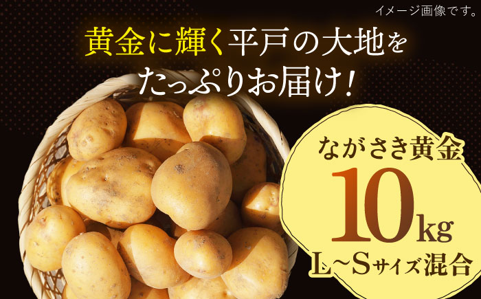 【先行予約】ながさき黄金 10kg 【JAながさき西海 平戸営農経済センター】 [KAL001]