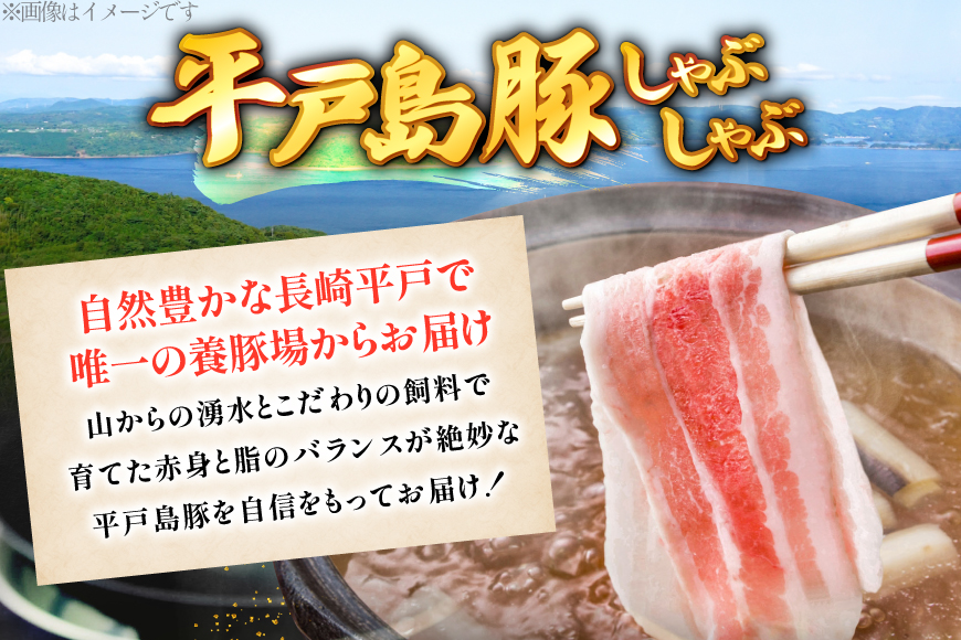しゃぶしゃぶ 豚肉 平戸島豚のしゃぶしゃぶセット 600g 安心の地元 野菜付 [ひらど新鮮市場 長崎県 平戸市 hr42bgy400144] 豚 自宅 簡単セット セット ぶた肉 ぶたにく 肉 ロース 豚しゃぶ 鍋