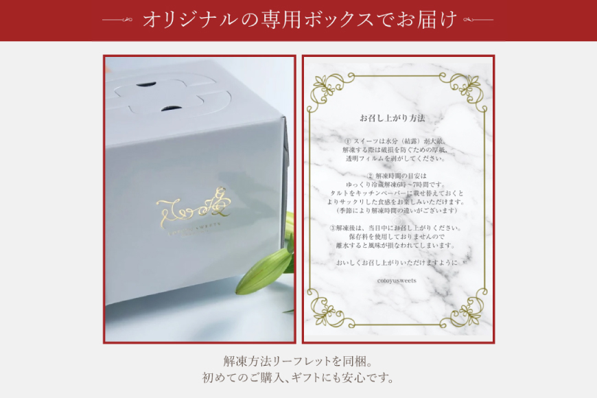 タルト チョコ リッチ チョコ タルト 1ホール 12cm [心優-Cotoyu Sweets- 長崎県 平戸市 hr42bjo490193] チョコレート 濃厚 ずっしり 生チョコ スイーツ ケーキ ご褒美 誕生日