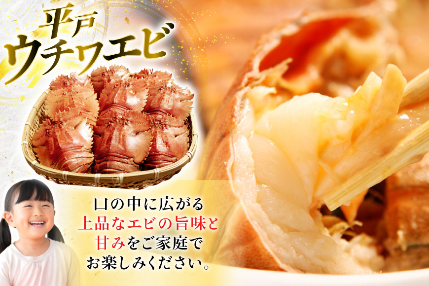 ウチワエビ えび サザエ ヒオウギ貝 平戸 海鮮 3種 盛り合わせ [平戸さくら水産 長崎県 平戸市 hr42bgy420174] 魚介 えび 貝 さざえ 海鮮