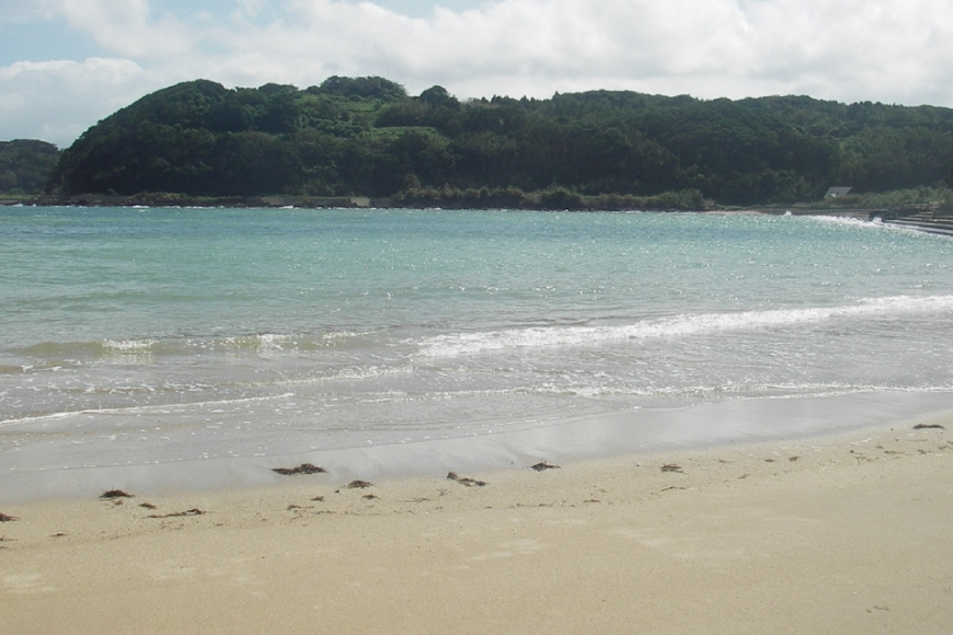 長崎 平戸 つまみあご 45g 2袋 計90g セット [篠崎海産物店 長崎県 平戸市 hr42bgy410221] おつまみ 珍味 ビール 飛魚 常温 国産 天然 ふるさと納税