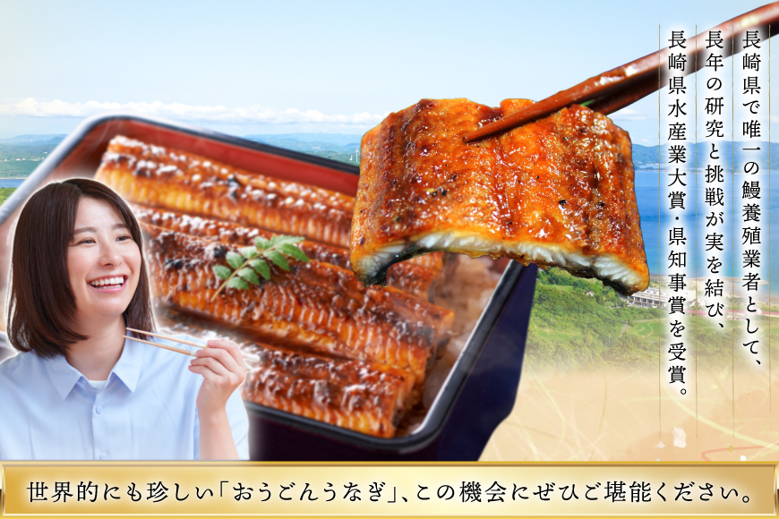 うなぎ 国産 蒲焼 長崎県産 おうごんうなぎ 約300g 1尾〜3尾 [松永水産 長崎県 平戸市 hr42bgy400221] 鰻 うな重 うな丼 ひつまぶし 蒲焼き かばやき タレ付き 養殖 国内産 1尾 3尾 冷凍 unagi