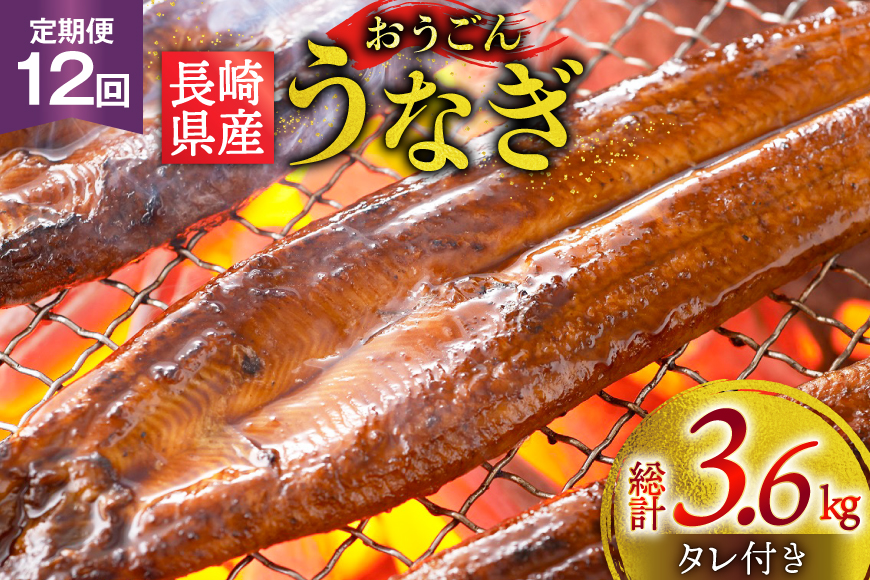 うなぎ 国産 蒲焼 長崎県産 おうごんうなぎ 約300g 2尾〜3尾 12回 定期便 総計 約3.6kg [松永水産 長崎県 平戸市 hr42bgy400106] 鰻 うな重 うな丼 ひつまぶし 蒲焼き かばやき タレ付き 養殖 国内産 冷凍 unagi