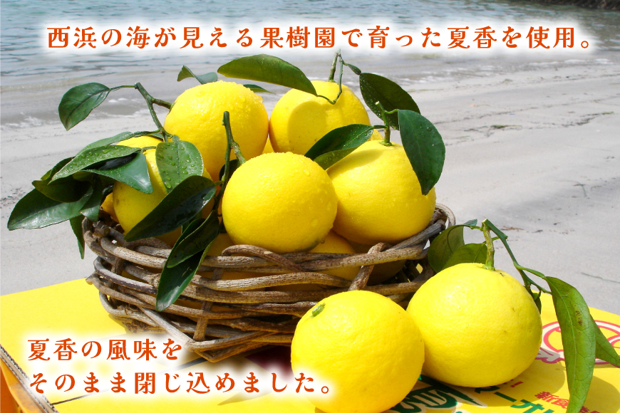 アイスキャンディー ギフト シャーベット オレンジ アイス 平戸夏香のアイスキャンデー 10本 100ml/本 [ハレルヤ合同会社 長崎県 平戸市 hr42bgy400139] スイーツ みかん ミカン 蜜柑 お取り寄せ お礼 プレゼント