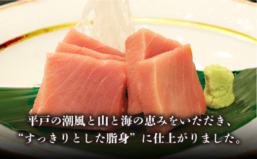 【廃番】平戸本マグロ極海一番約300g＆慈眼の塩200g【囲炉裏料理エビス亭】[KAC079]