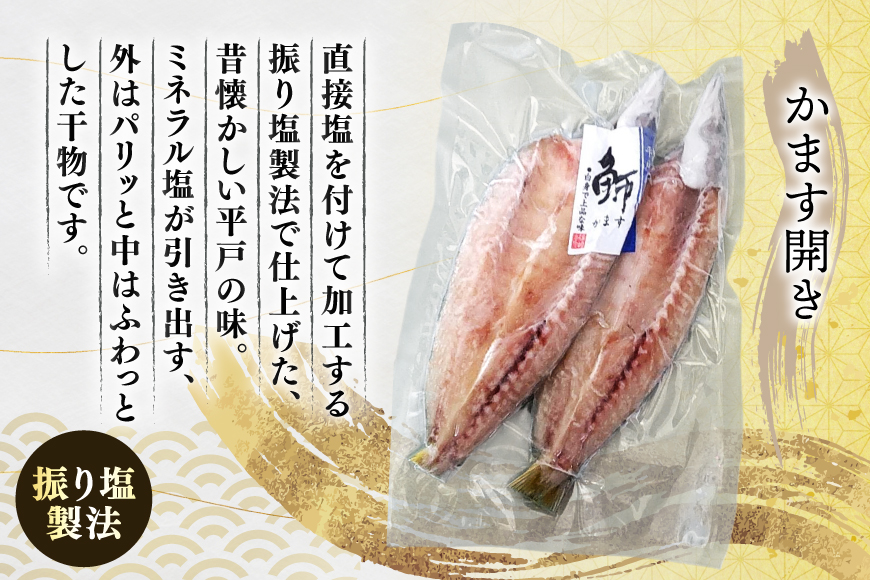 干物 長崎 平戸 あじ かます 6枚 セット 詰め合わせ [篠崎海産物店 長崎県 平戸市 hr42bgy410222] ふるさと納税 アジ 鯵 開き カマス ひもの 本場