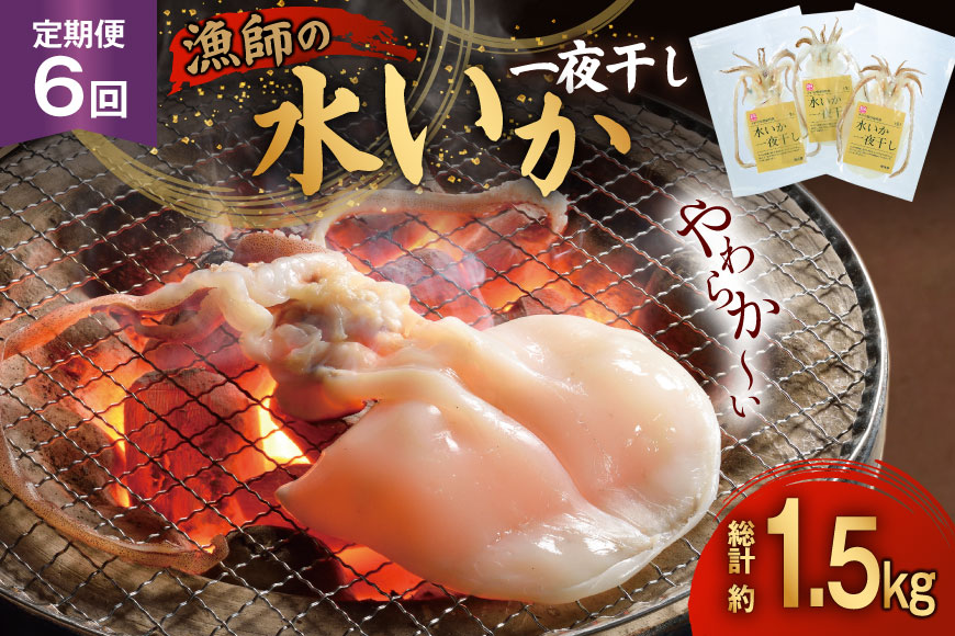 いか 一夜干し 干物  漁師の水烏賊一夜干し 2〜3枚 約250g 6回 定期便 総計1.5kg [中野漁業 長崎県 平戸市 hr42bgy400078] イカ 乾物 水いか 冷凍