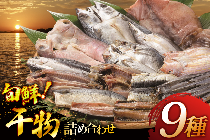 魚 惣菜 平戸 干物 詰め合わせ 9種 [森崎水産 長崎県 平戸市 hr42bgy410125] さかな 加工品 ひもの つめあわせ 豪華 旬魚 お惣菜