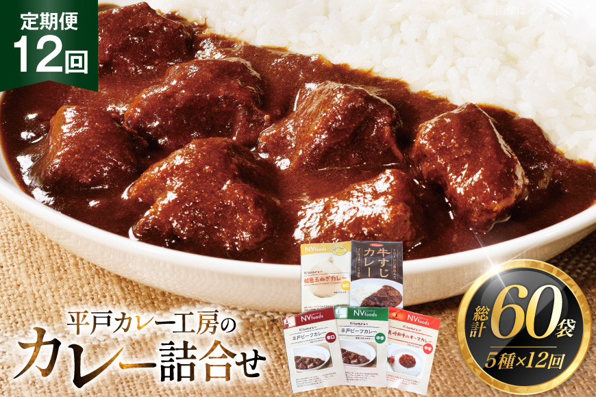 カレー セット カレー 5種 セット 12回 定期便 [カレー工房NVfoods 長崎県 平戸市 hr42bgy400097] カレー スパイス レトルト セット 詰め合わせ 食べ比べ