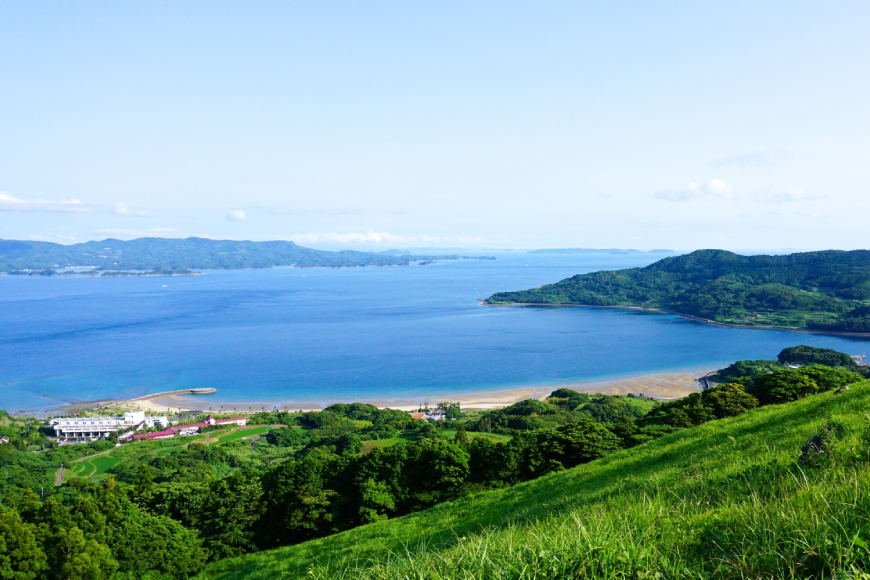 タイ 刺身 平戸なつ香 鯛 丸々 1匹 約2kg 3枚おろし アラ付き セット [坂野水産 長崎県 平戸市 hr42bgy420504] 魚介 さかな 刺身用 さしみ 冷蔵 おかず フルーツ魚 夏香 鮮魚 海鮮 海鮮鍋 海鮮丼 下処理済 レシピ付き 鍋 tai 煮付け あら炊き