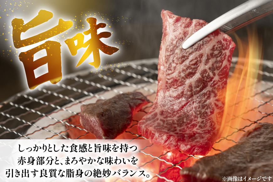 肉 牛肉 長崎 和牛 ロース 焼肉用 約 600g [萩原食肉産業 長崎県 平戸市 hr42bgy410008] 牛 ロース セット 食べ比べ 冷凍