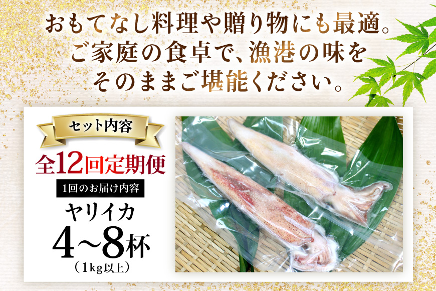 イカ 刺身 極鮮ヤリイカ 約1kg 12回 定期便 [海隆丸 長崎県 平戸市 hr42bgy400131] おつまみ ヤリイカ 新鮮 海鮮 魚介 瞬間冷凍 冷凍 コリコリ 直送 冷凍 個包装 真空パック