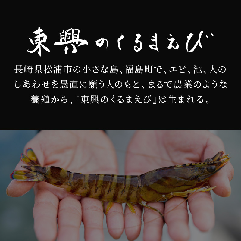 【宅配BOX不可】東興のくるまえび1kg入【1月〜2月上旬発送】( くるまえび 東興のくるまえび 車海老 海老 エビ )【D5-010-01M】