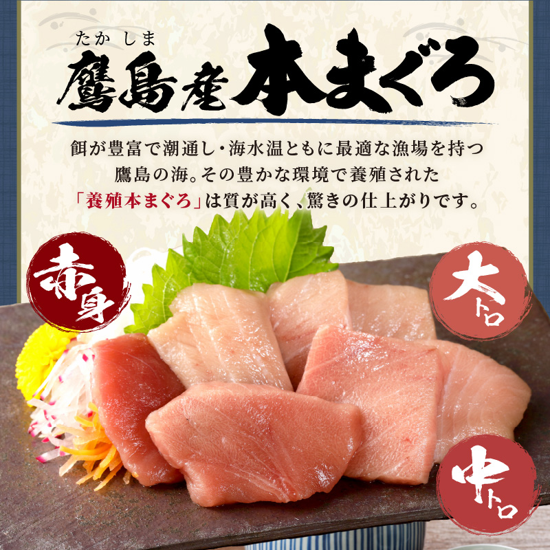 鷹島産本まぐろ 食べきりサイズ(80g×6p)とアジフライのセット(4枚×3p) ( 本まぐろ マグロ 鷹島産本まぐろ アジフライ あじ フィレタイプ ) 【C0-099】