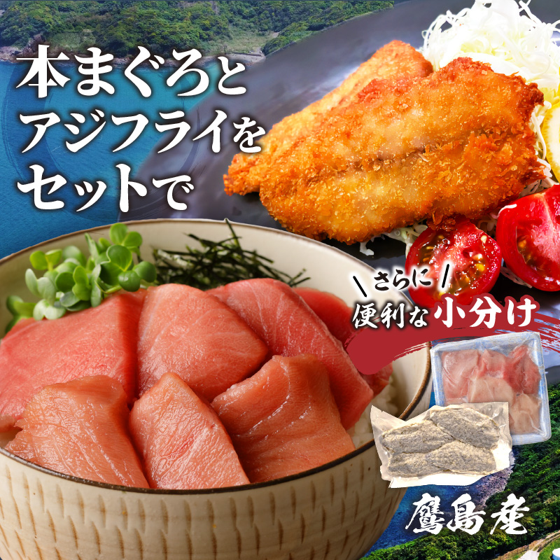 鷹島産本まぐろ 食べきりサイズ(80g×10p)とアジフライのセット(4枚×5p) ( 本まぐろ マグロ 鷹島産本まぐろ アジフライ あじ フィレタイプ ) 【D4-020】
