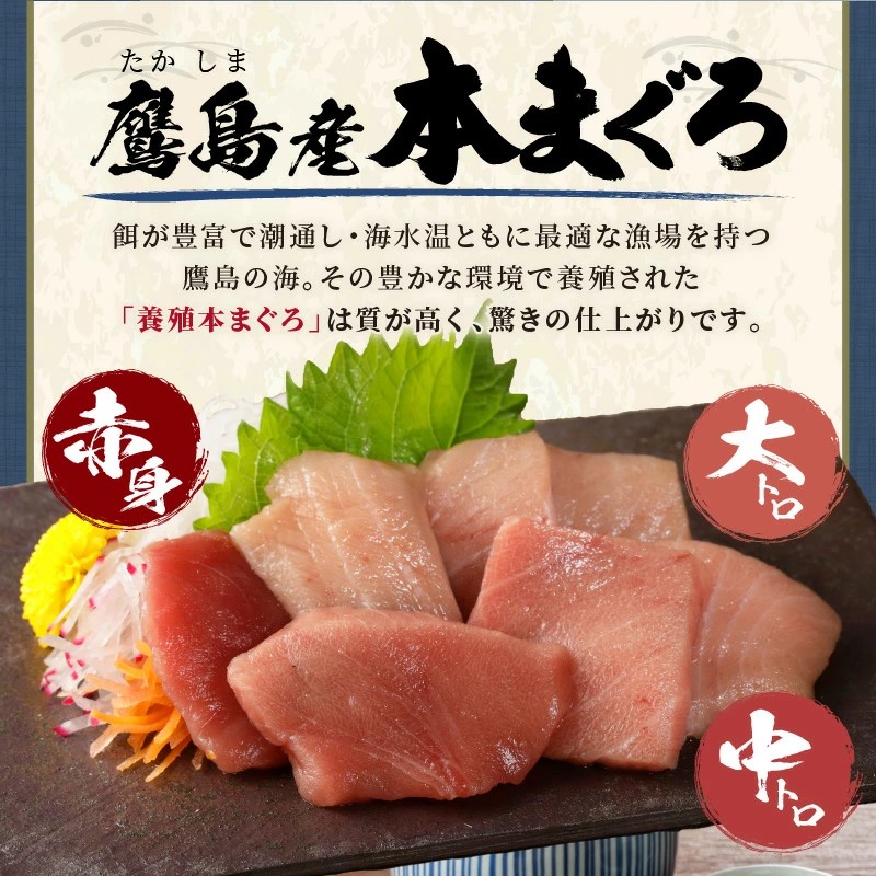 鷹島本まぐろ 食べきりサイズ(80g×10p)とレンジで簡単！ 鷹島のアジフライセット(4枚×5p) ( 本まぐろ マグロ 鷹島産本まぐろ アジフライ あじ フィレタイプ ) 【E2-017】