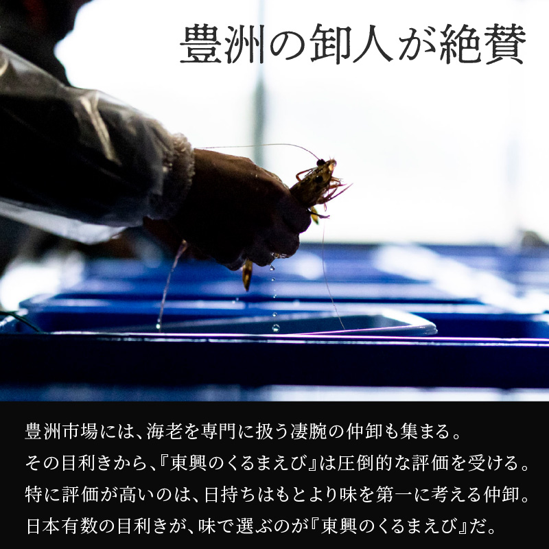 【宅配BOX不可】東興のくるまえび1kg入【1月〜2月上旬発送】( くるまえび 東興のくるまえび 車海老 海老 エビ )【D5-010-01M】