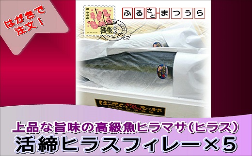 お届けオーダーメイド！活締ヒラスフィレー×5( ヒラス ヒラスフィレー 活き締め 新鮮 お中元 お歳暮 贈答用 )【K50-001】