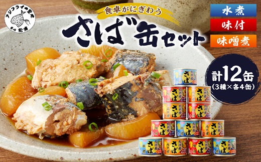 さば缶セット(3種×各4缶)( さば サバ 鯖 さば缶 サバ缶 水煮 味噌煮 醤油煮 非常食 保存食 簡単調理 保存食 非常食 防災 備蓄 長期保存 )【B2-107】