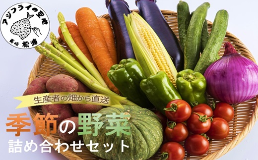 季節の野菜詰め合わせ【A9-009】 季節 野菜 旬 安心 新玉ねぎ トマト じゃがいも 白菜 キャベツ きゅうり