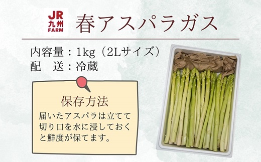 【B2-153】JR九州ファームの春アスパラガス　2Lサイズ1kg 野菜 新鮮 アスパラガス アスパラ 春アスパラ 甘み