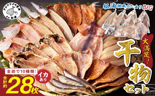 松浦・潮風のたより Ｂｉｇ(イカあり)( 松浦市 アジ イカ サバ カマス レンコダイ 干物 アジ開き サバフィレ 一夜干し 詰め合わせ )【B5-118】