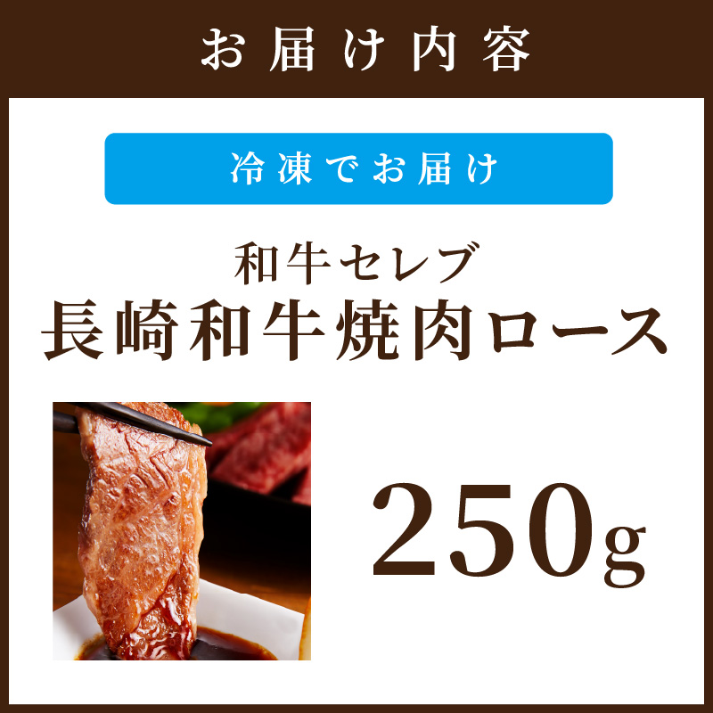 【和牛セレブ】長崎和牛焼肉ロース 250g ( 長崎和牛 和牛 焼肉 ロース )【B8-028】