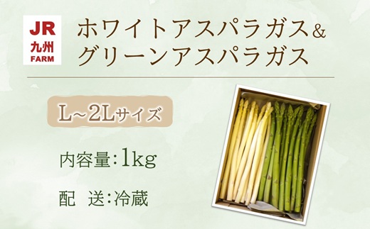 JR九州ファームのホワイトアスパラガス＆グリーンアスパラガス L～2Lサイズ 1kg ( アスパラガス ホワイトアスパラガス グリーンアスパラガス 国産 送料無料 長崎県 松浦市 )【B3-102】