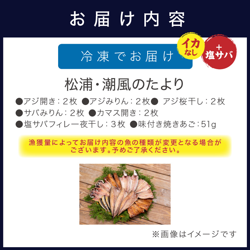 松浦・潮風のたより(イカなし＆サバ増量) ( 松浦市 サバ アジ カマス 干物 アジ開き 一夜干し 詰め合わせ )【B0-264】