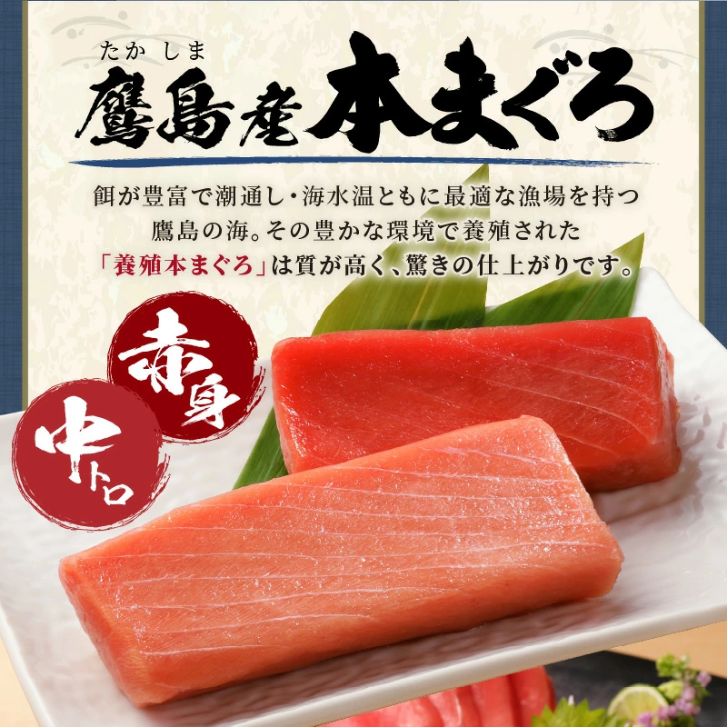 【全3回定期便】鷹島本まぐろ 中トロと赤身合わせて350g( マグロ まぐろ 中トロ 赤身 本まぐろ 手軽 おつまみ 柵 流水解凍 )【E0-026】
