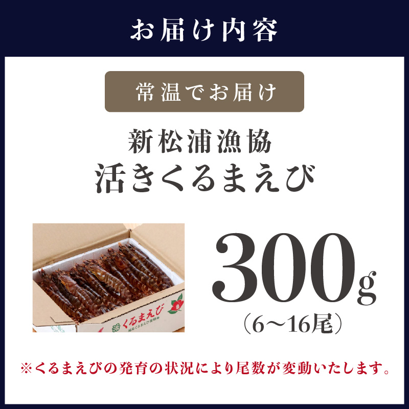 ãå®
é
BOXäžå¯ãæ°æŸæµŠæŒåãæŽ»ããããŸãã³300gïŒãµãããšçŽçš è»æµ·è ã¯ã«ããšã è»ãšã è»ãã³ ãããŸãã³ æµ·è ãšã ãã³ æµ·é®® éæç¡æ 掻ãè»ãã³ïŒãB4-121ã