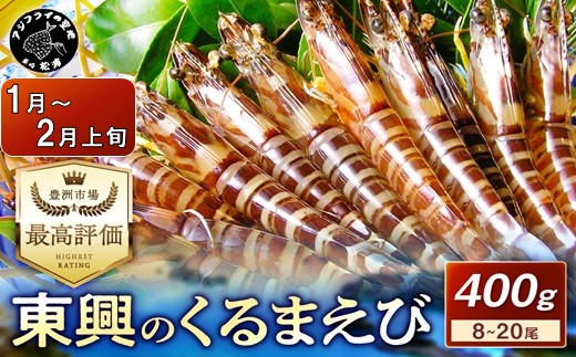 【宅配BOX不可】東興のくるまえび400g入【1月〜2月上旬発送】( くるまえび 東興のくるまえび 車海老 海老 エビ )【B6-040-01M】