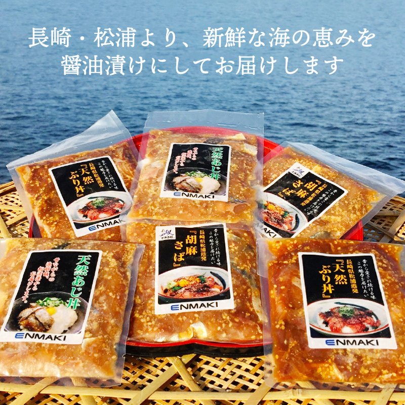 【流水解凍だけの簡単調理】海鮮醤油漬け天然あじ丼80g×10パック【B4-084】あじ アジ 天然あじ 醬油漬け 海鮮 海鮮丼 漬け丼 流水解凍 お手軽 時短 人気 大人気