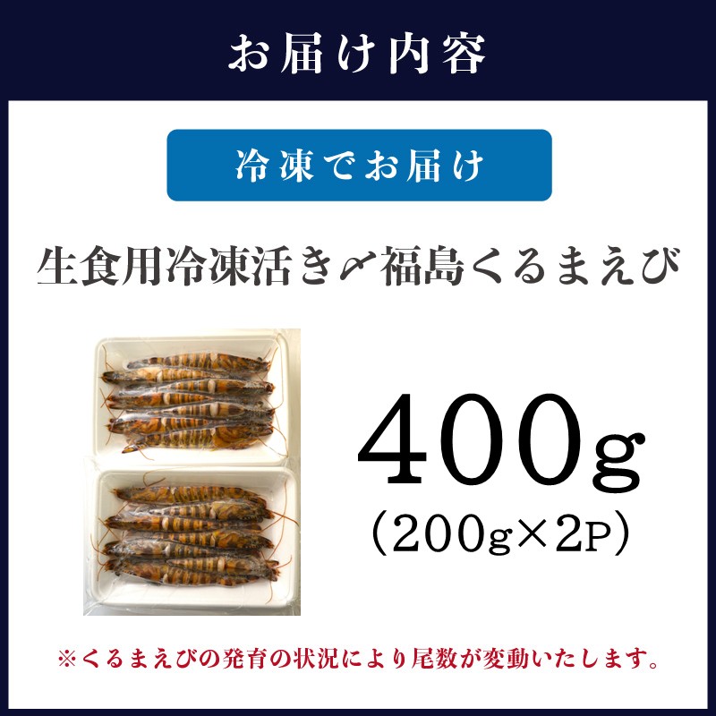 生食用冷凍活き〆福島くるまえび200g×2パック( 車海老 車エビ クルマエビ くるまえび えび エビ 海老 生食用 甲殻類 海産物 お刺身 冷凍 活き〆車えび おかず )【B2-165】