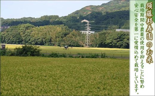 縲 莉、蜥7蟷エ 譁ー邀ウ 縲鷹郁陸驍ヲ蟇ソ蝨偵ョ逋ス邀ウ 螟「縺励★縺5kg( 邀ウ 繧ウ繝。 縺顔アウ 螟「縺励★縺 5kg 5繧ュ繝ュ 逕倥> 逕倥∩ 邊倥j邊セ邀ウ 蝗ス逕」 騾∵侭辟。譁 )縲殖5-128縲