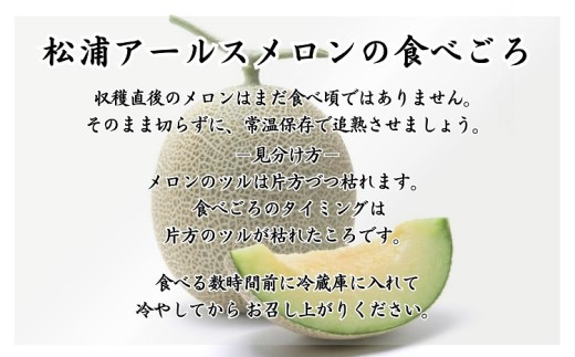 【A8-011】松浦アールスメロン最高品質ブランド「爽潤果」1玉 メロン アールスメロン 果実の王様 甘い 糖度14度以上
