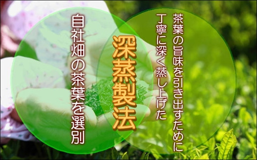松浦茶セット(特上100g×1　高級100g×1)【A8-007】 松浦茶 深蒸し茶 ミネラル お茶 緑茶