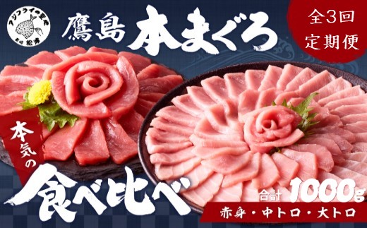 【全3回定期便】鷹島本まぐろ 赤身・中トロ・大トロ合わせて1000g( マグロ まぐろ 赤身 中トロ 大トロ 本まぐろ 手軽 おつまみ 柵 流水解凍 )【K26-001】