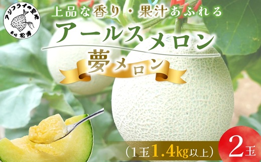 1.4?以上！大玉アールスメロン　夢メロン2玉入り( メロン 大玉 夢メロン アールスメロン )【B0-202】