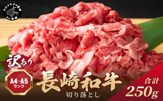 訳あり！【A4〜A5】長崎和牛切り落とし250g( 牛肉 おすすめ 長崎和牛 バーベキュー 焼肉 切り落とし 冷凍 国産 送料無料 赤身 )【A6-036】