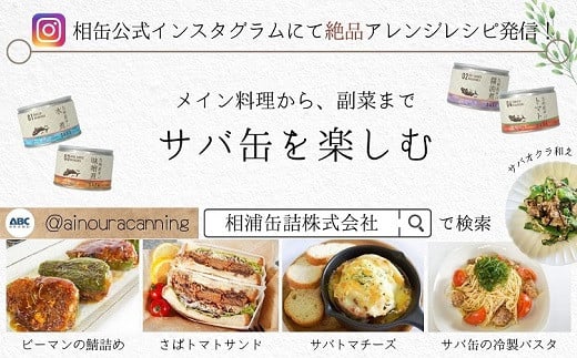 缶詰工場直送　伝統のさば缶「旬ほとぎ」味噌煮36缶( さば サバ 鯖 缶詰 サバ缶 さば缶 鯖缶 味噌煮 ご飯のお供 保存食 )【D4-007】