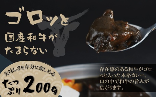 和牛がゴロッと黒カレー 200g×4P ( カレー 和牛 和牛カレー 冷凍 簡単 )【A8-043】